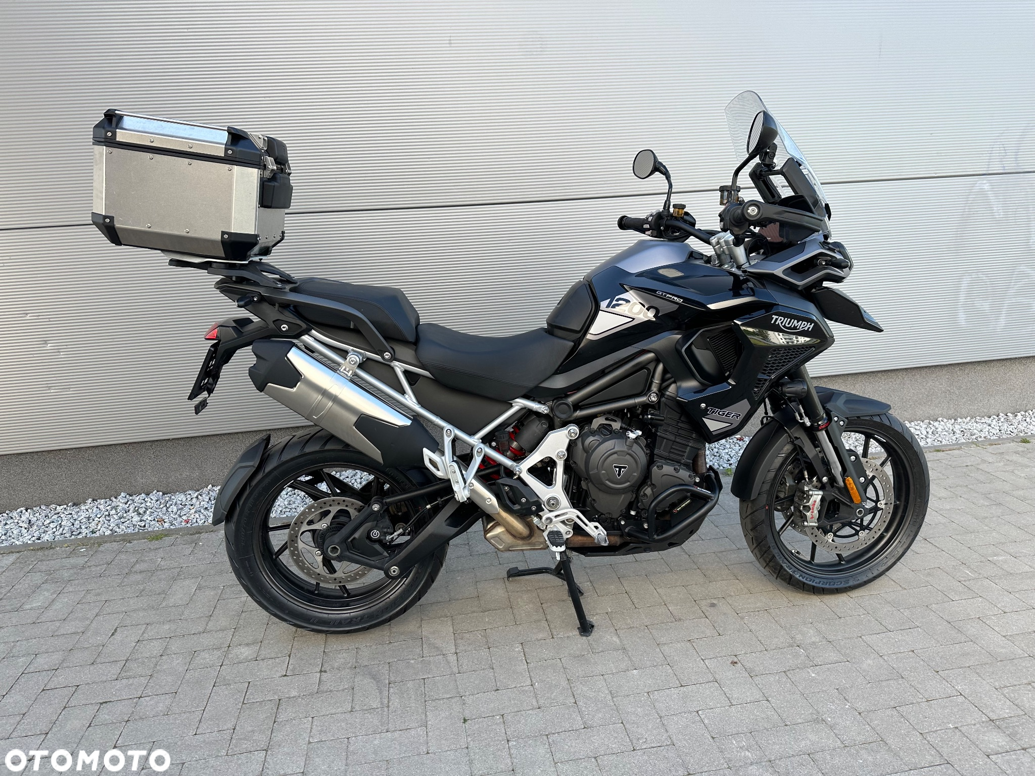 Triumph Tiger - 17