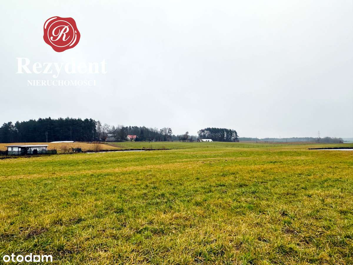 Działka na obrzeżach Sępólna Krajeńskiego-8