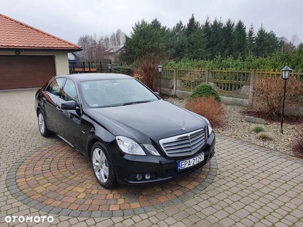 Mercedes-Benz Klasa E 220 CDI BlueEff Elegance - 27