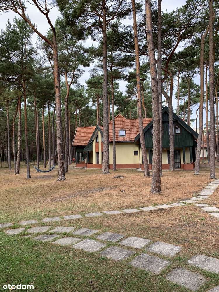 Ośrodek Wypoczynkowy - Pełny obrazek: 5/11