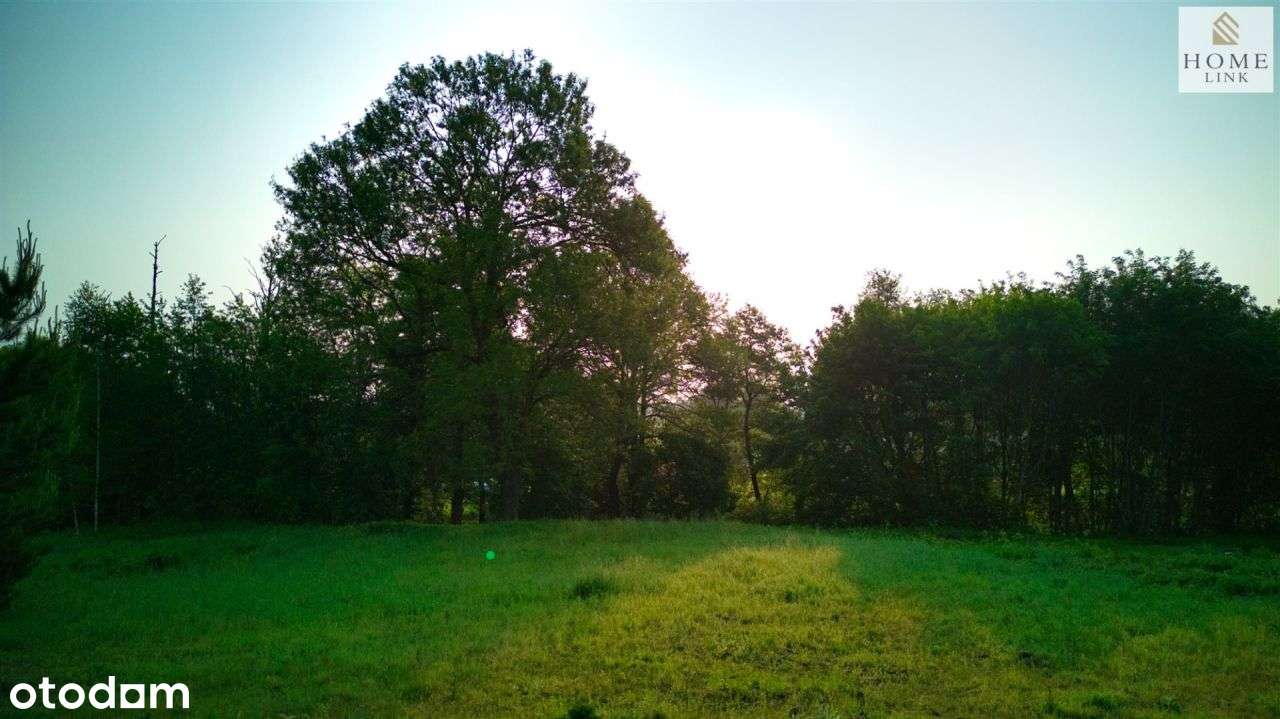 Urokliwa działka nad strumykiem, blisko jeziora. - Pełny obrazek: 5/10