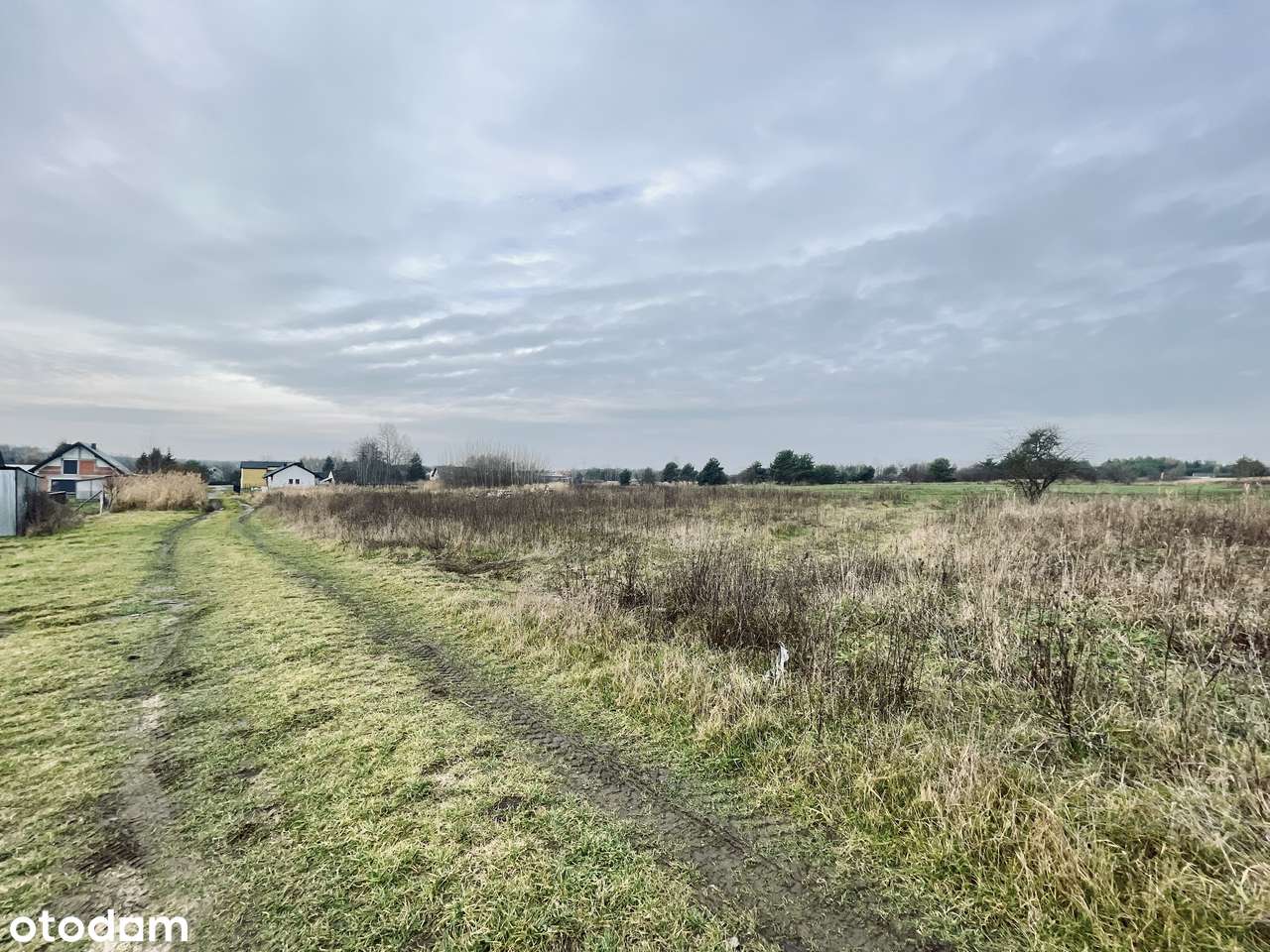 Prąd, woda, kanalizacja | Droga utwardzona | Prostokąt | Płaska | Park-11