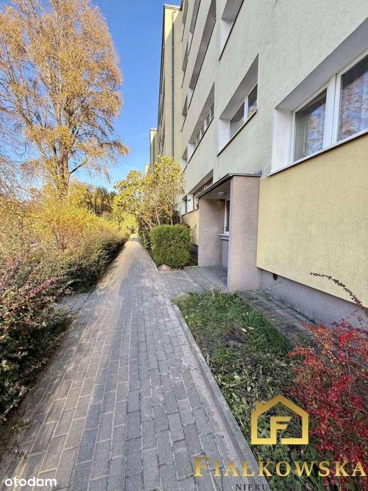 Kawalerka z potencjałem - ul. Ptasia-16