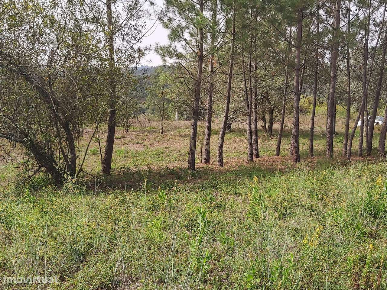 Terreno com projeto aprovado em Simões / Soure - Grande imagem: 3/9