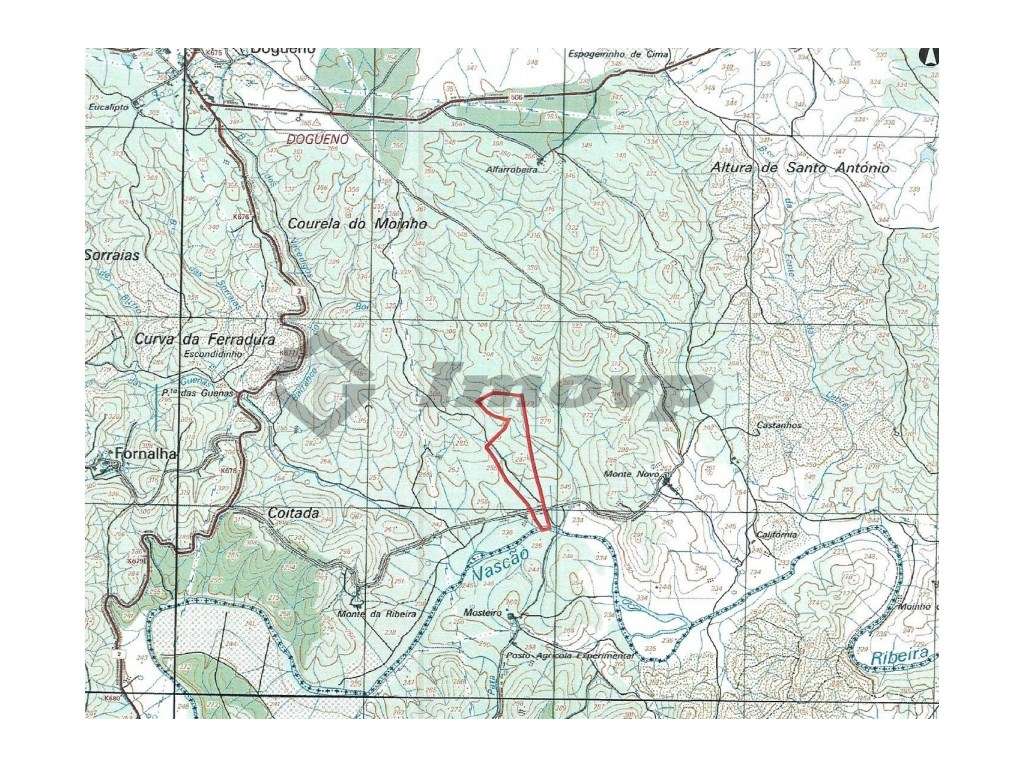 Terreno rústico de10,61Ha localizado 2 Km a sul da localidade da Do... - Grande imagem: 4/10