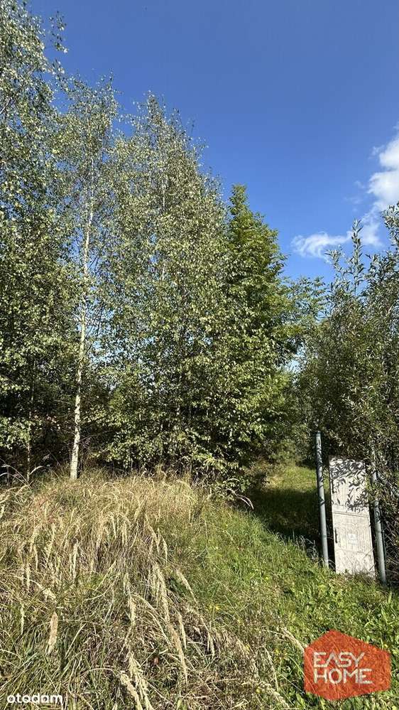 Cudowne miejsce w pobliżu jeziora i lasu-10