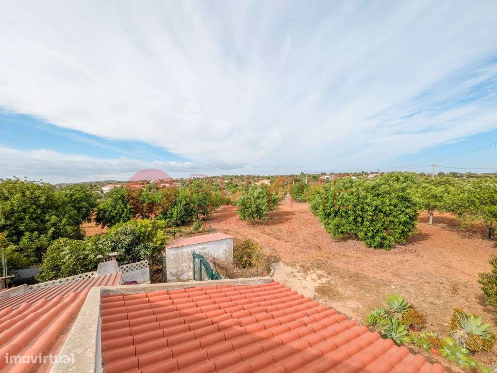Moradia Rústica T6 com 5 Hectares em Tunes, Silves-37