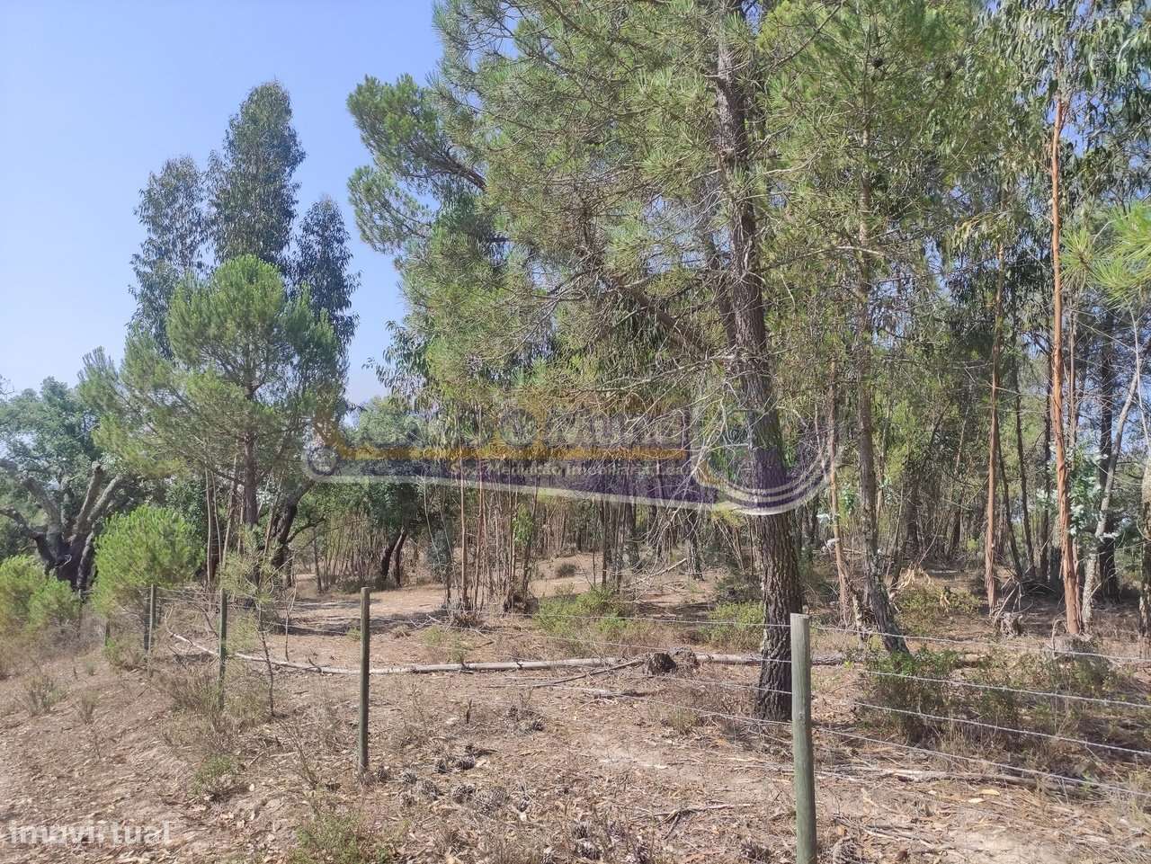 Monte Alentejano em Mora (MOR037) - Grande imagem: 2/32