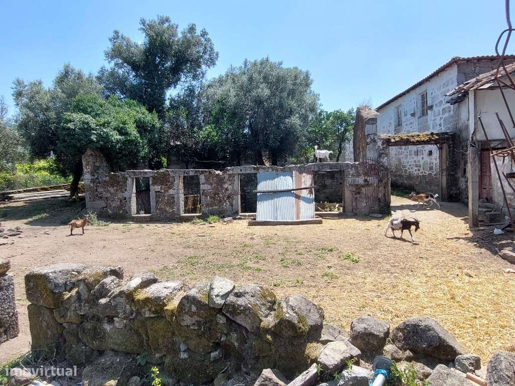 Quintinha - Crespos - Grande imagem: 4/8