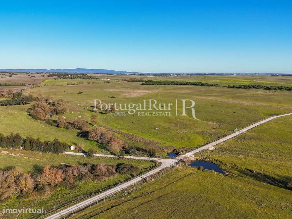 Herdade com 960 hectares na região de Évora - Grande imagem: 3/19
