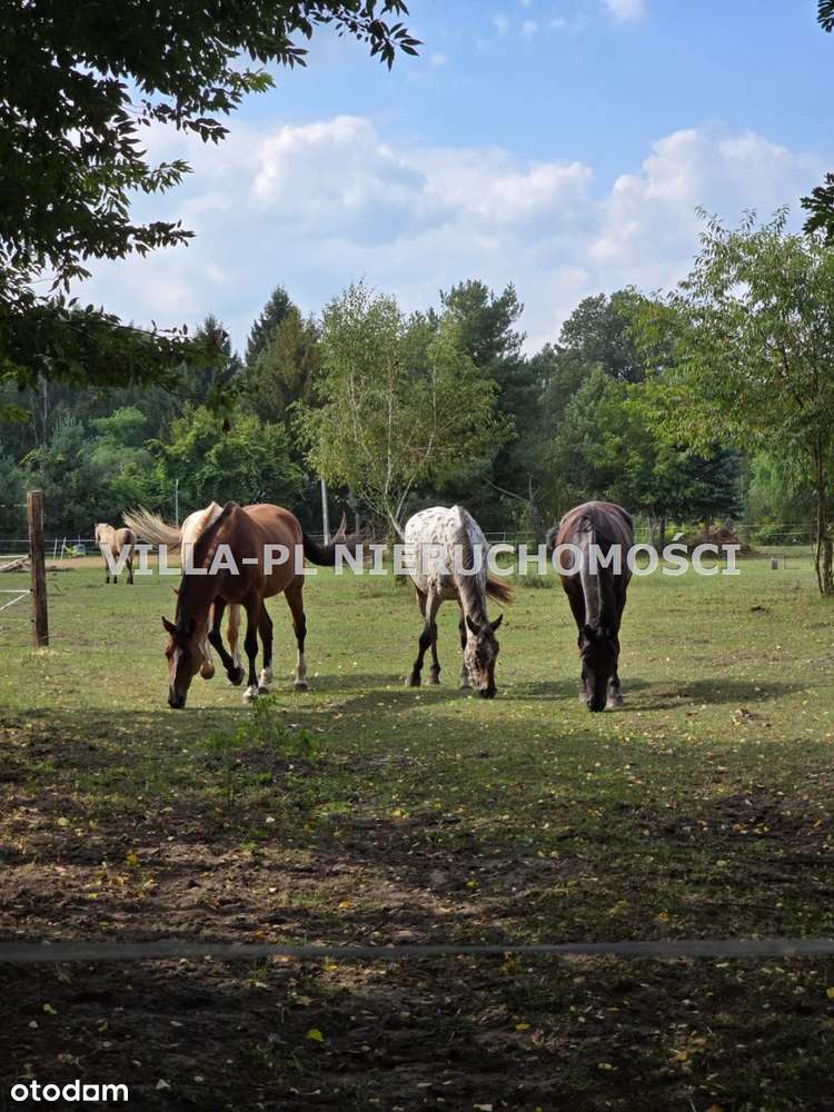 0% działki budowlane różne wielkości do wyboru - Pełny obrazek: 4/4