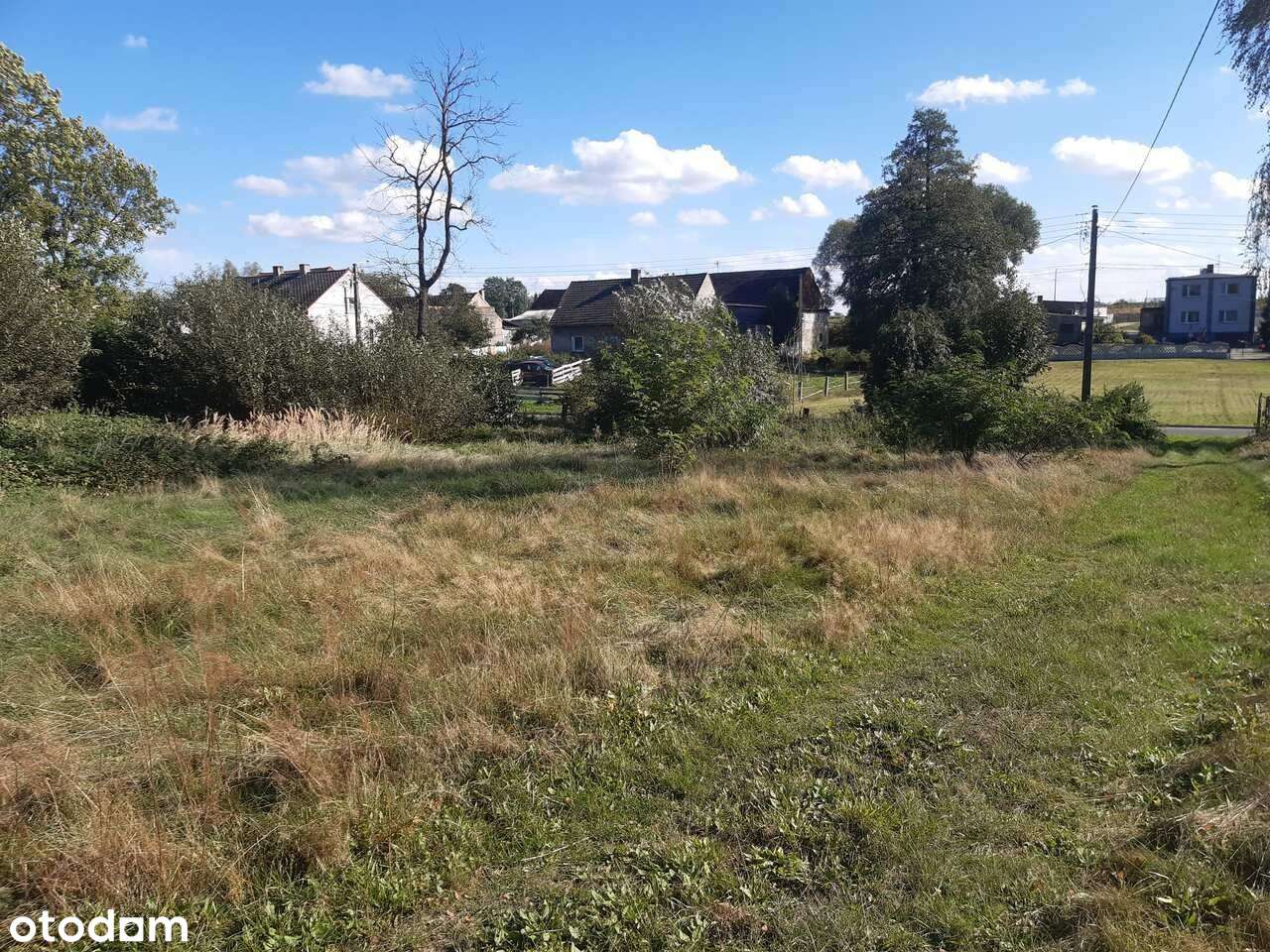 Duża działka z możliwością podziału na 5 działek