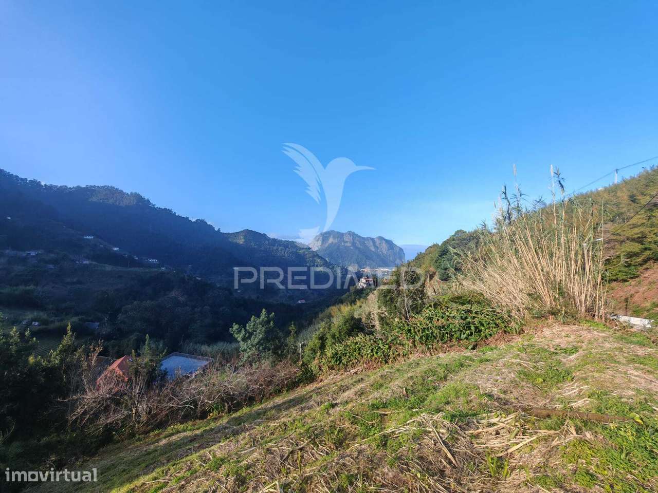 Terreno com 630m2 em Porto da Cruz para construção - Grande imagem: 4/8