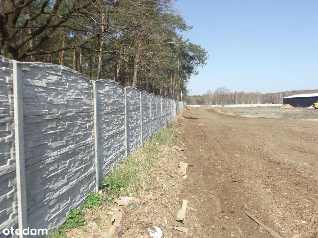 Teren inwestycyjny z halą 1250m2! MPZP -PU - Pełny obrazek: 2/4