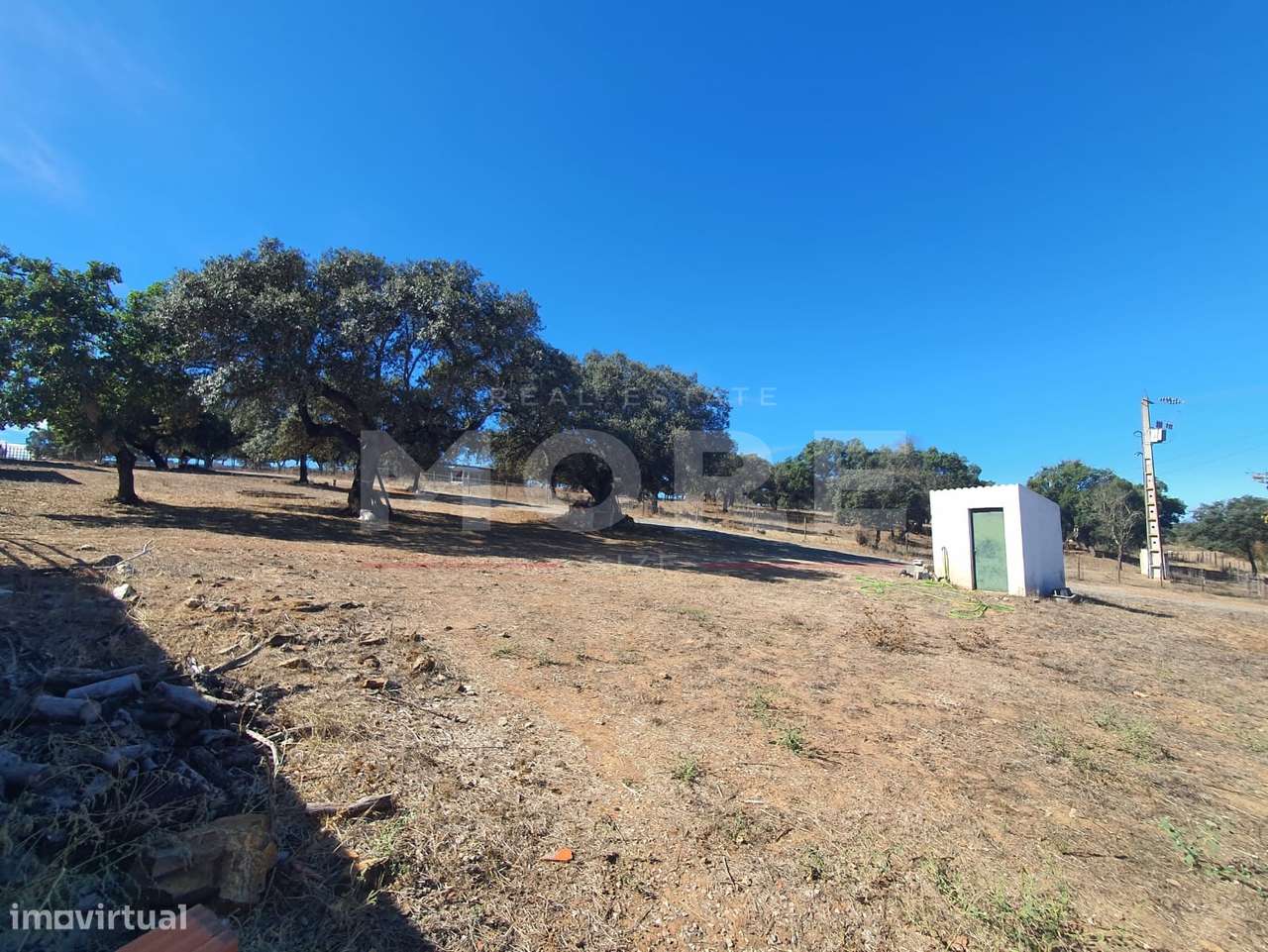Herdade - Alvito-59
