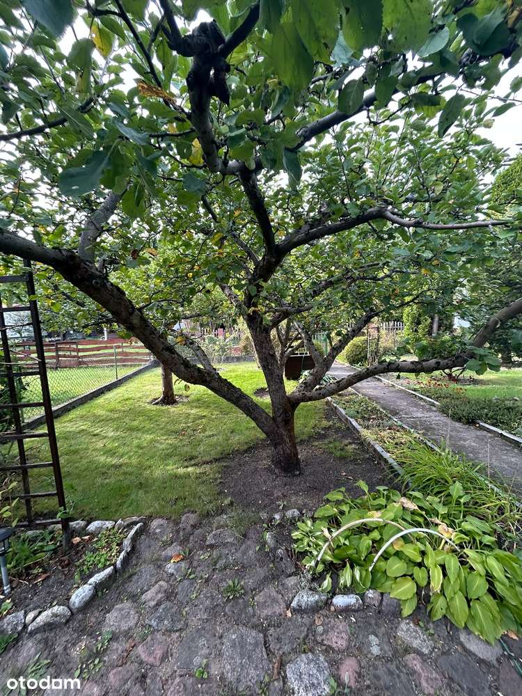 Działka ROD Witaminka Osówiec-5