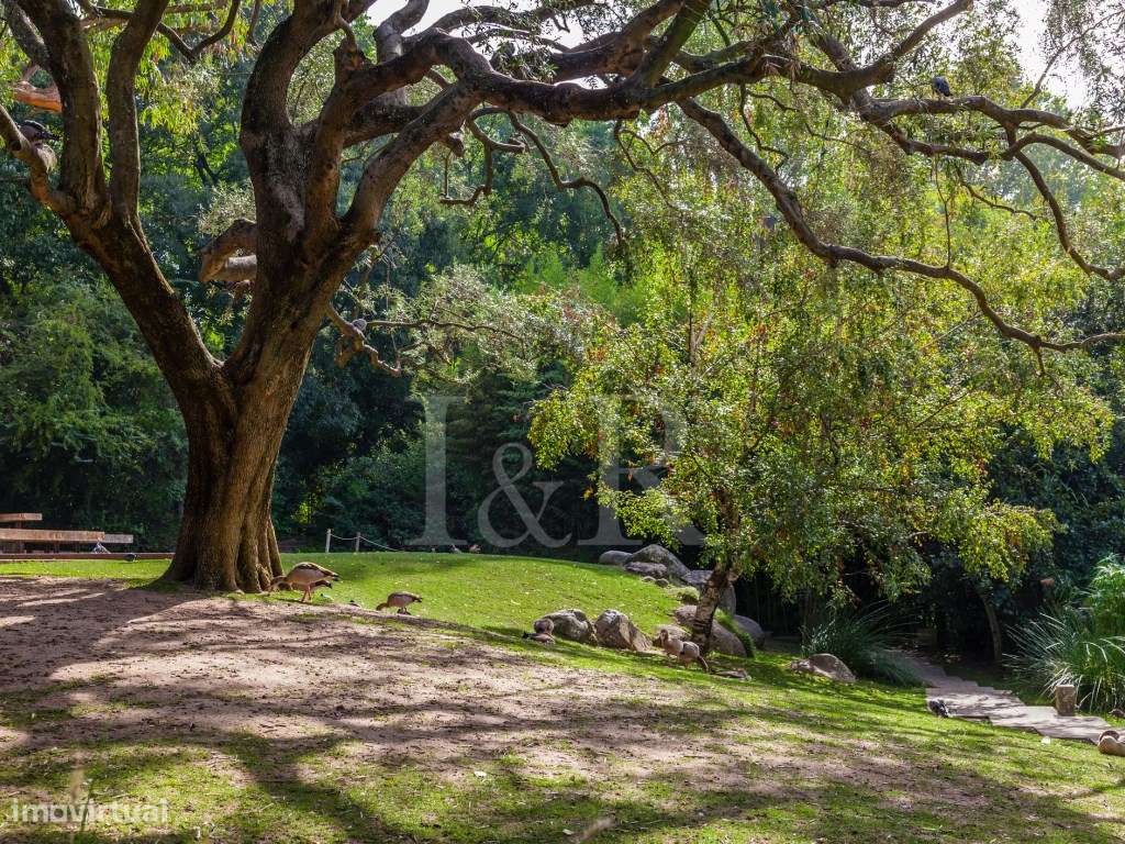 Apartamento T1 com varanda próximo da Praça de Espanha, Lisboa-13