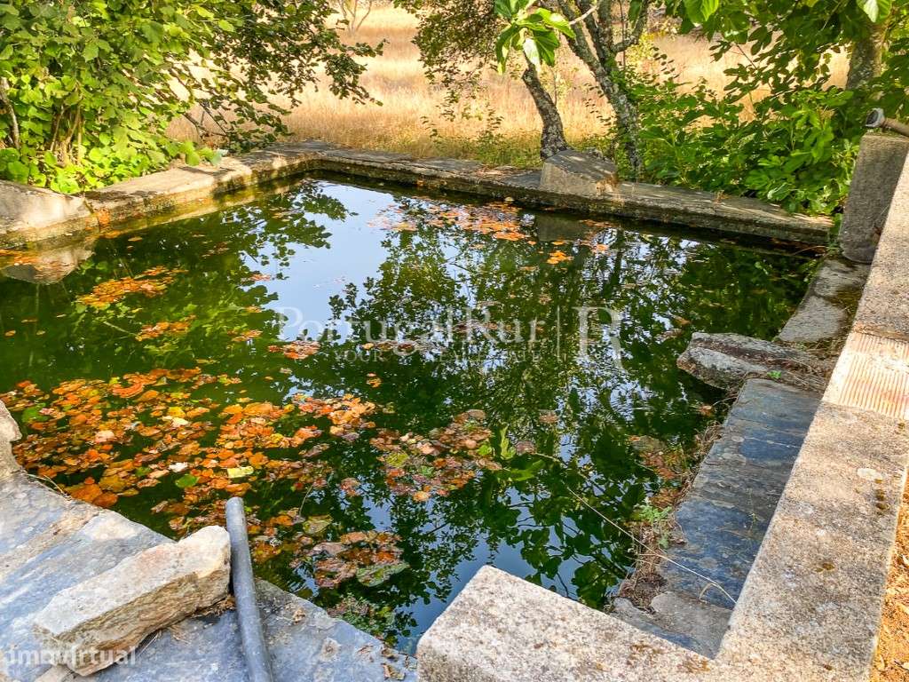 Quinta de 10 ha com projeto aprovado para 2 moradias em Marvão-42
