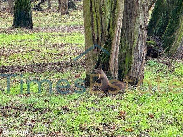 4 pokoje/garaż /widok na park/Osiedle Leśne Fort Bema /do wprowadzenia-19