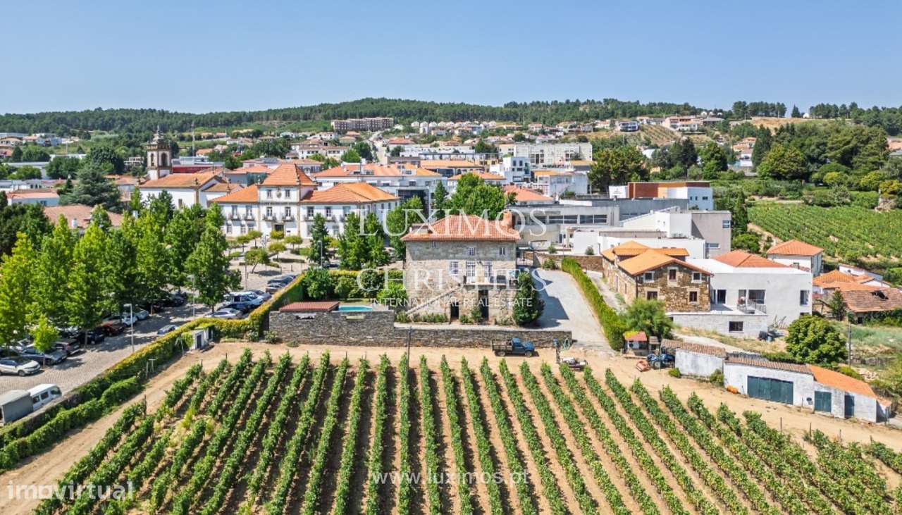 Quinta vinícola para venda em Sabrosa na Região Demarcada do Douro - Grande imagem: 4/25