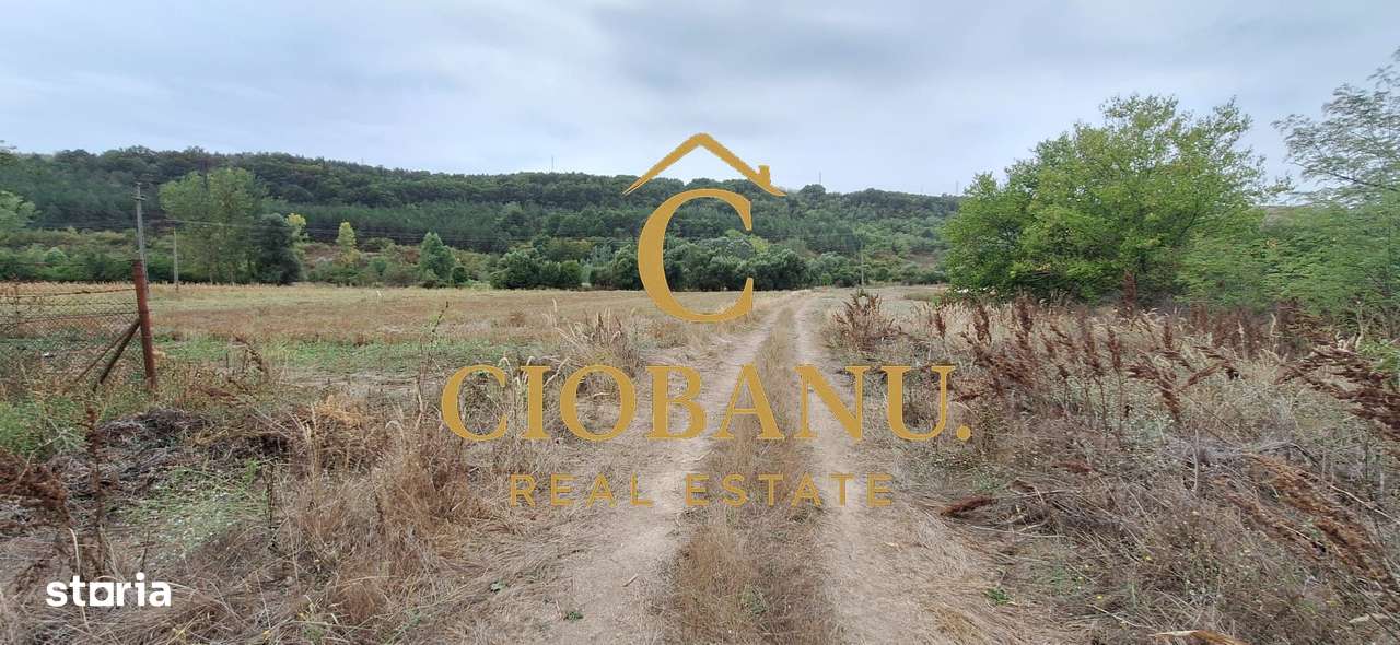 Teren Intravilan/Extravilan de vanzare in Bradestii Batrani-9