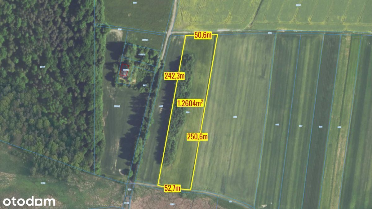 Działka rolna Strzebiń 12604m2