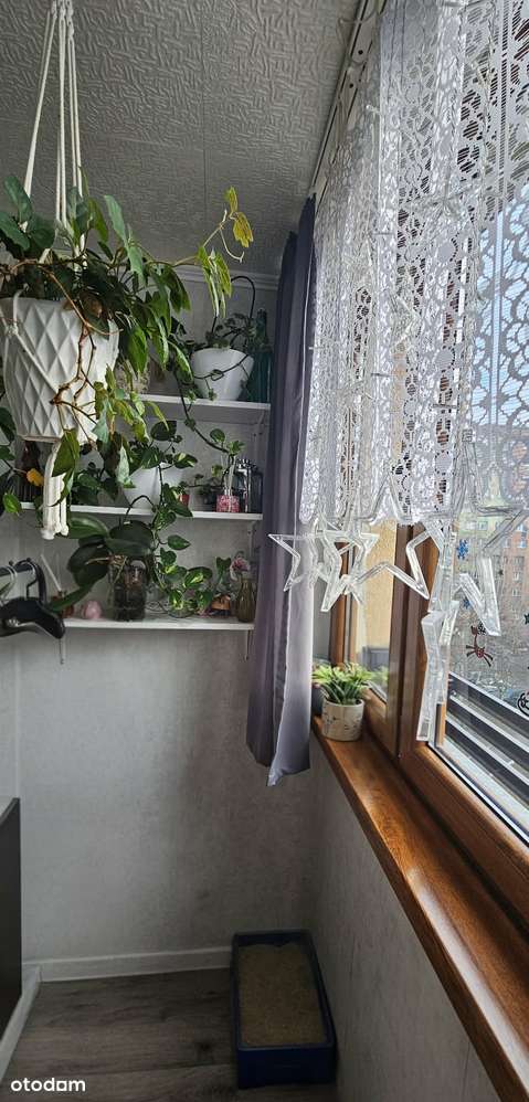 Oława 3 pokoje 49,3m2 super lokalizacja-9