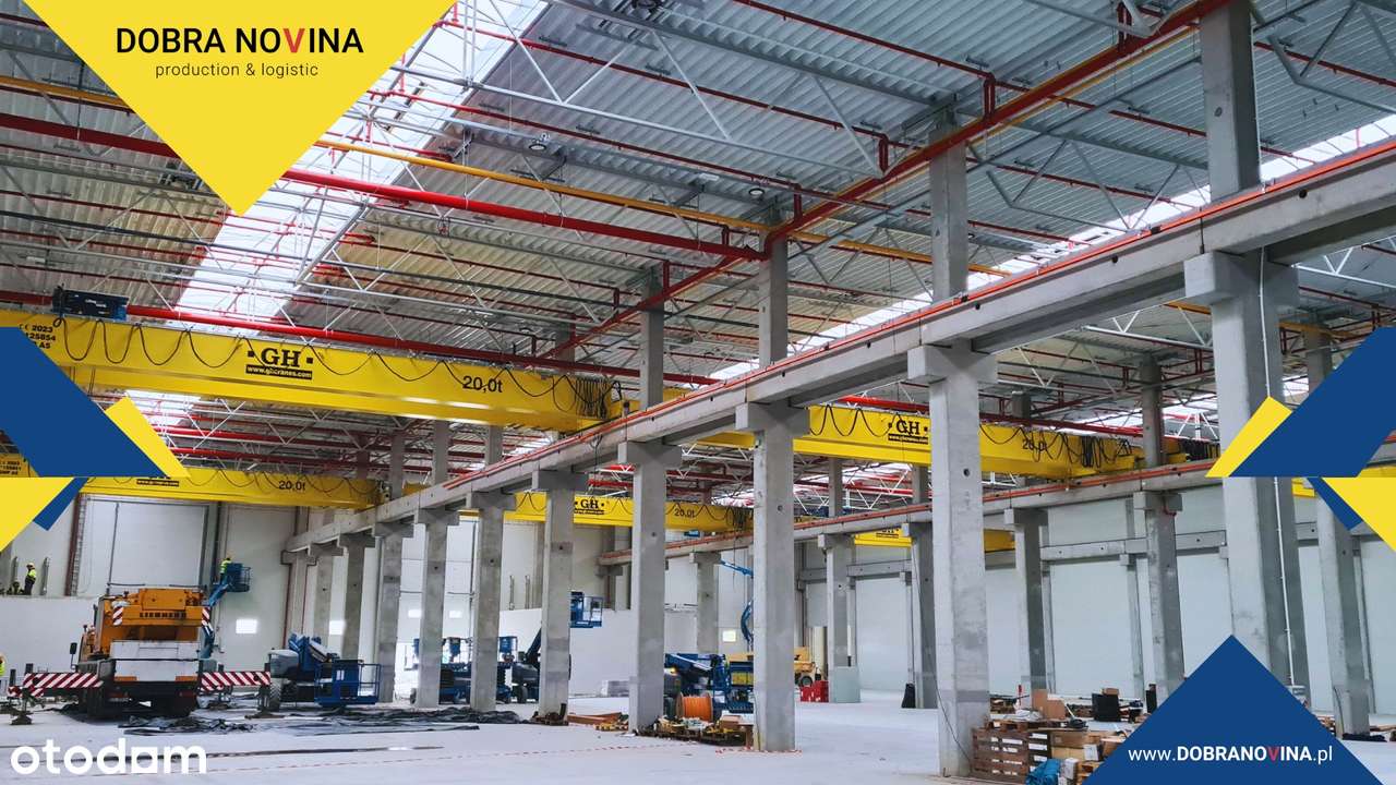 Wynajmę nowoczesną halę produkcujno - magazynową - Pełny obrazek: 5/20