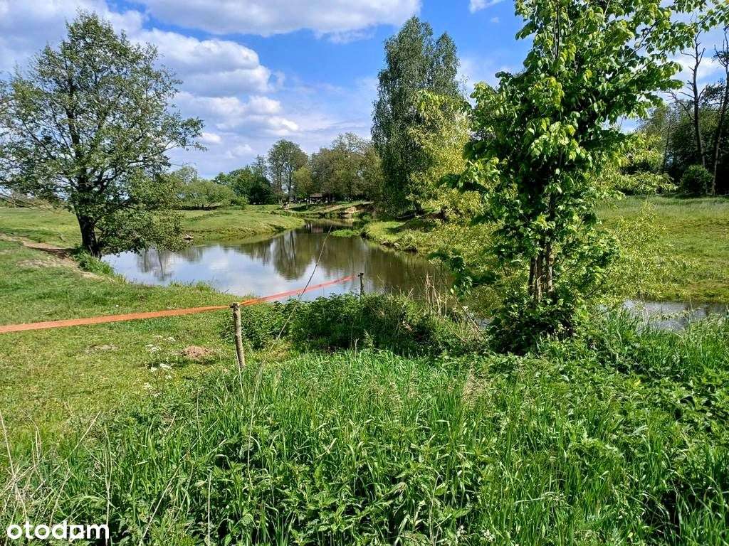 Siedlisko z dużą działką! Wyszonki-Nagórki-5