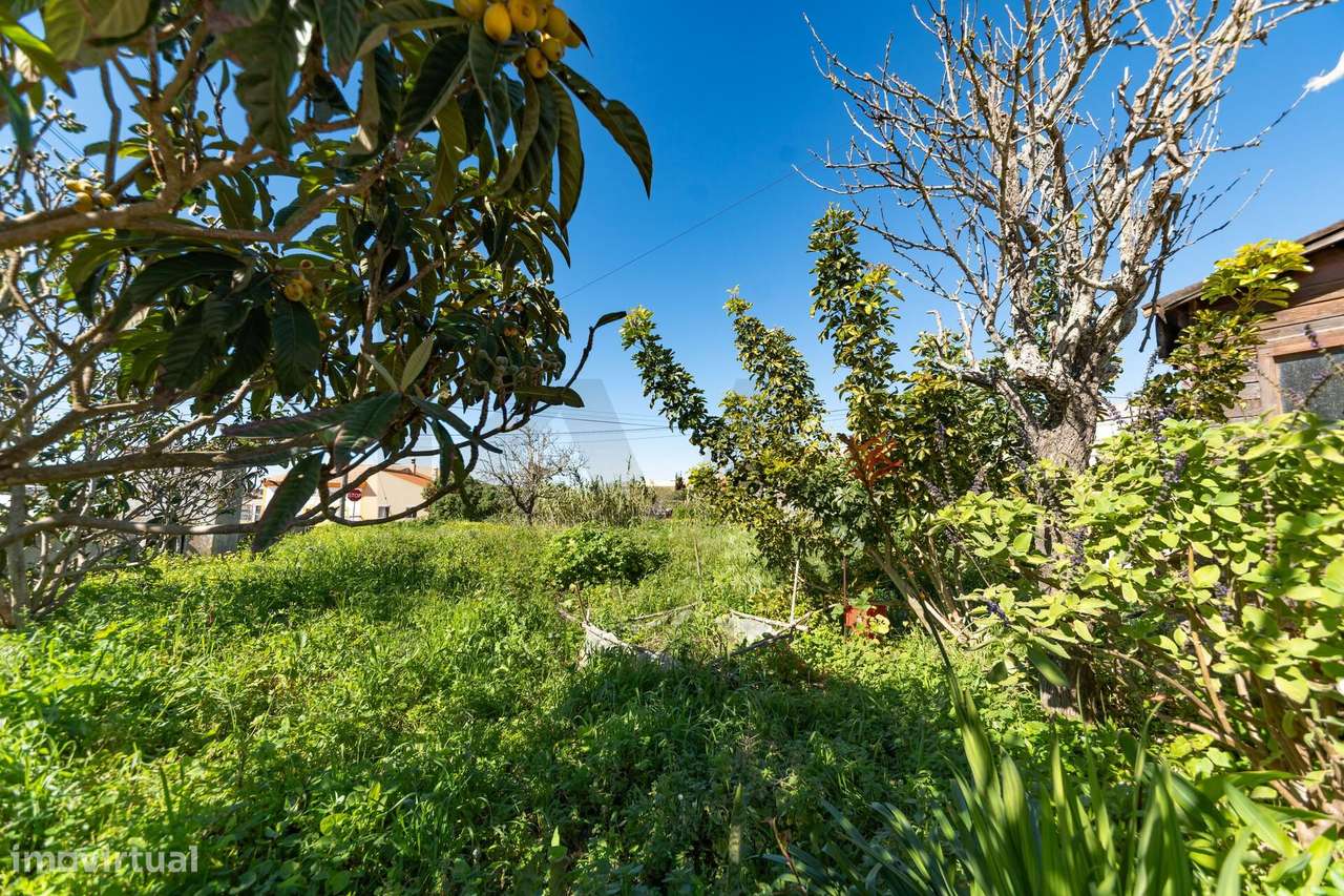 Moradia T4 com terreno em Sagres - Grande imagem: 5/26