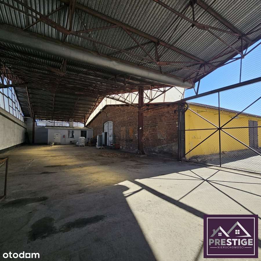 Do wynajęcia hala magazynowo-prdukcyjna blisko cen - Pełny obrazek: 4/8