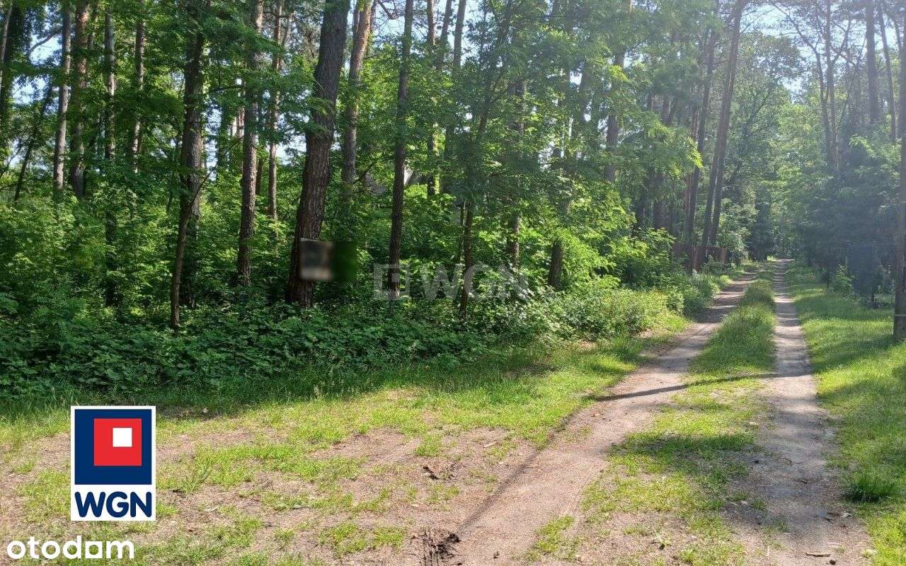 Malownicza działka w otoczeniu lasu. - Pełny obrazek: 5/8