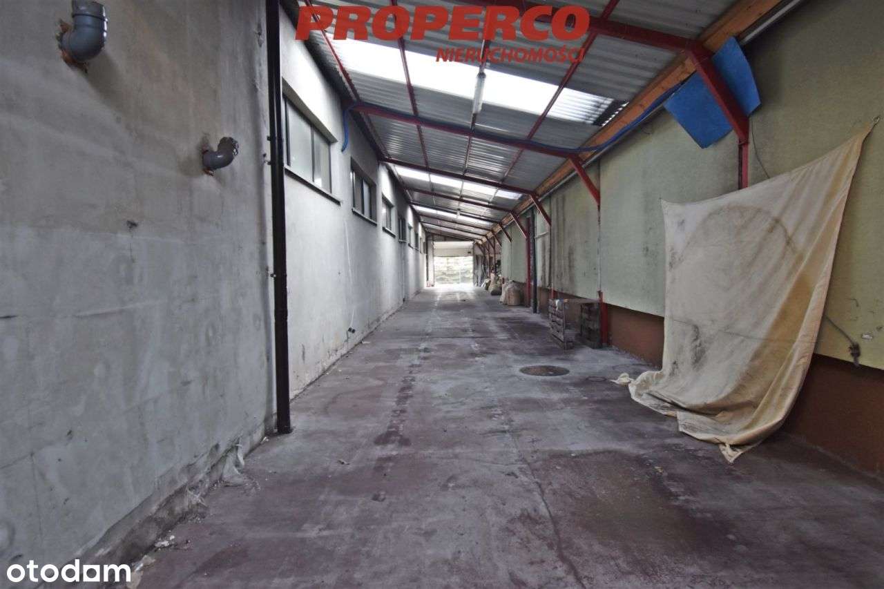 Hala magazynowa 200m2, ul. Skrajna, Kielce - Pełny obrazek: 4/5