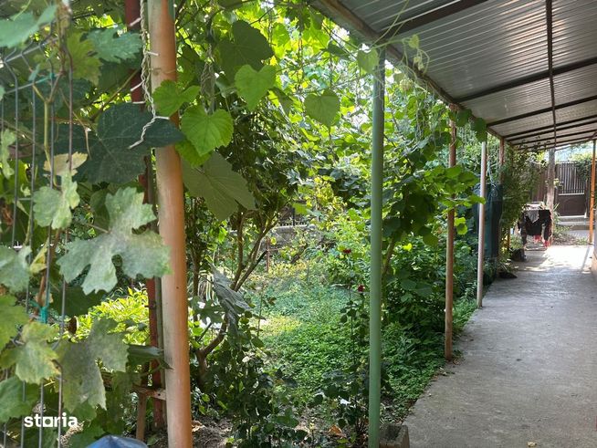 Casa si teren zona teatrul Maior Gheorghe Pastia, Focsani, jud Vrancea-1