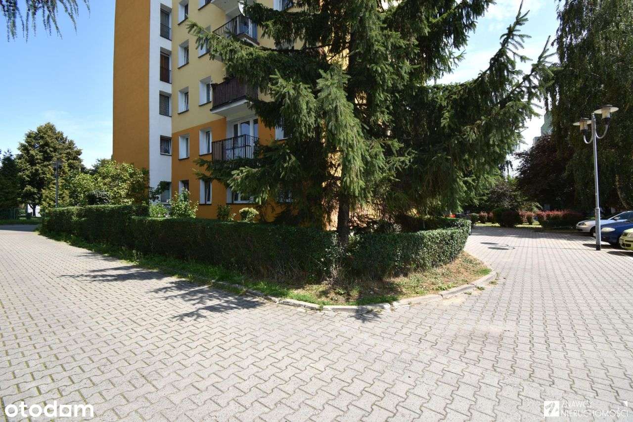 Wysoki parter, 2 pokoje z widokiem na zieleń-13