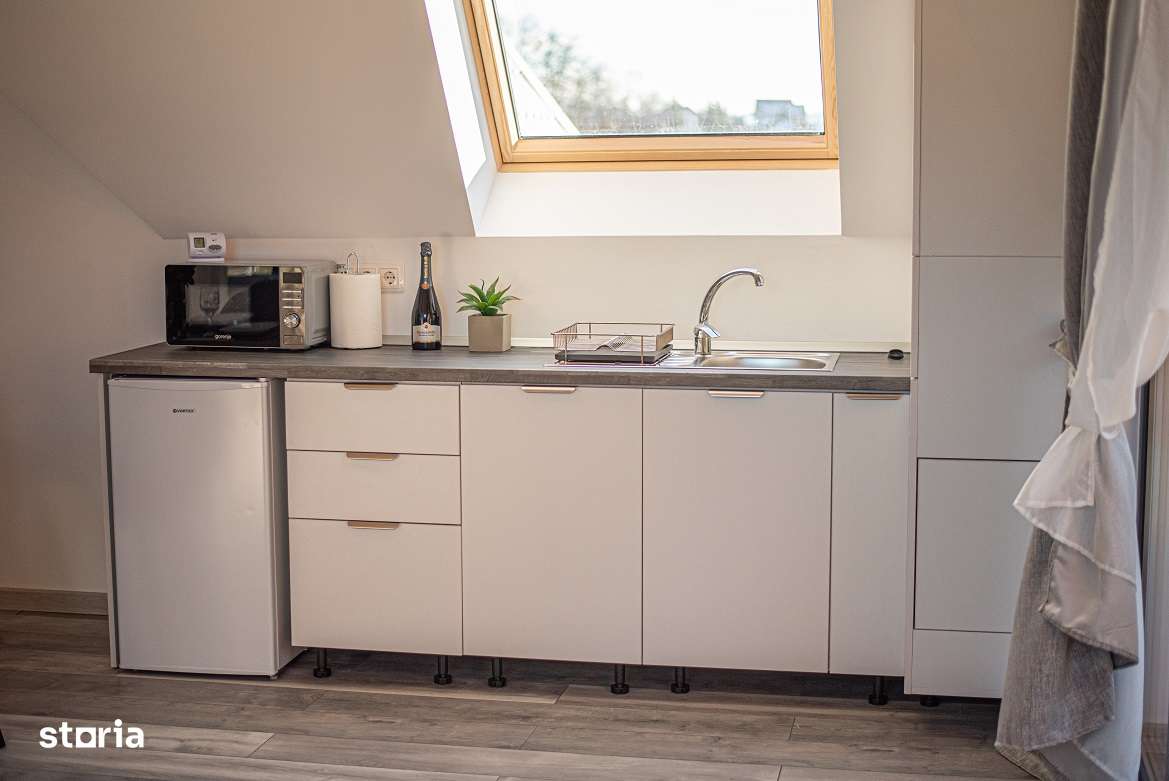 APARTAMENT DE LUX CU VEDERE LA MUNTE-5