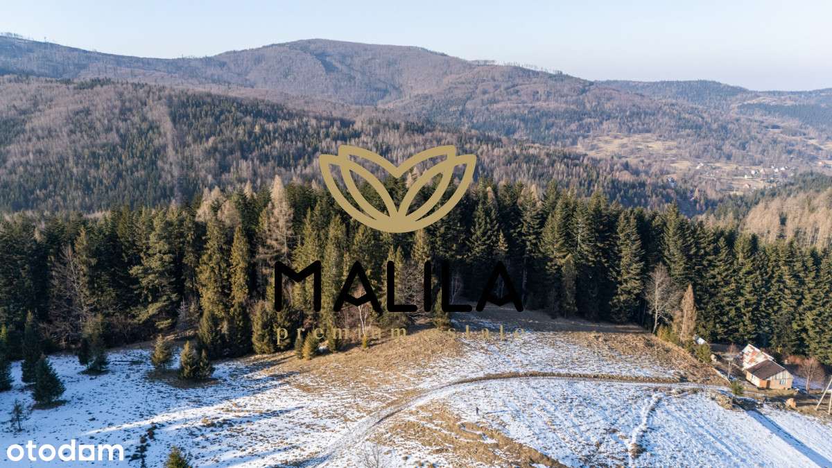 Unikalna i widokowa działka w Malowniczej Zawoi – Hala barankowa-6