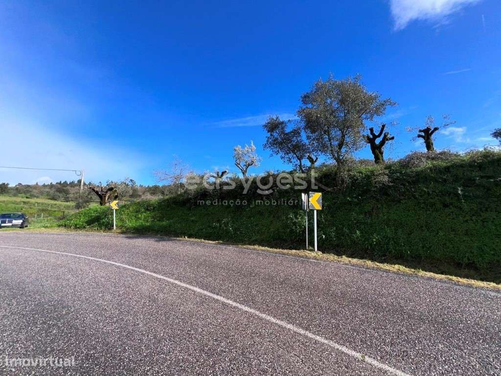 Terreno Rústico com 2930m2 localizado em Alviobeira Tomar - Grande imagem: 5/19