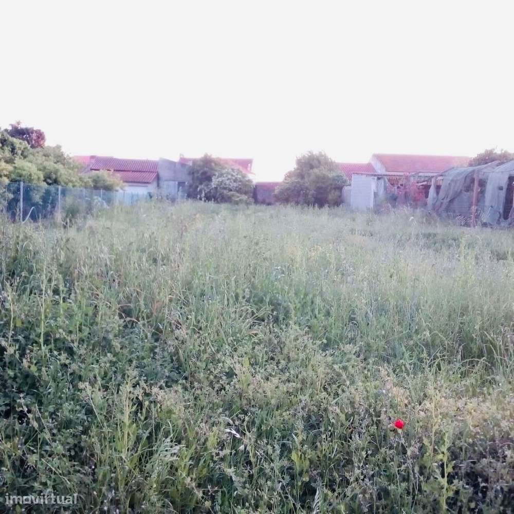 Venda Terreno - Grande imagem: 5/5