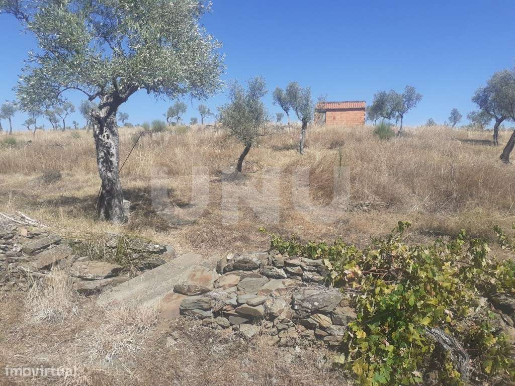 Terreno Rústico com 7500m2 de área - Grande imagem: 2/16