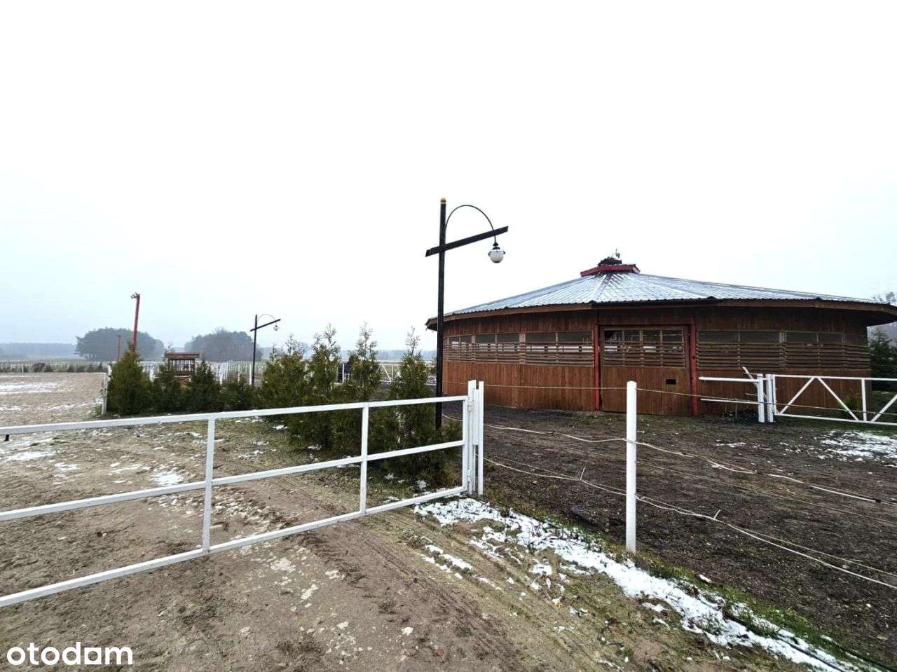 Dochodowa stajnia położona w okolicy Strykowa-7