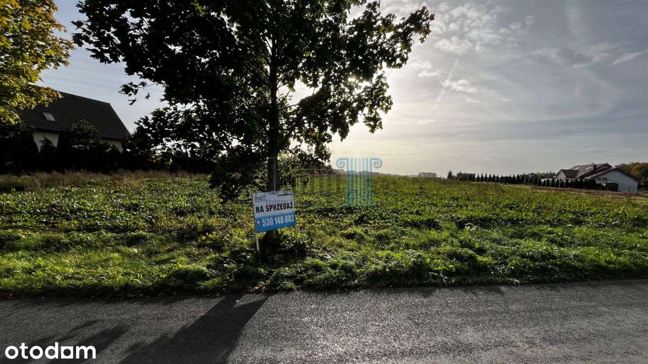 Promocja Majowa -Działka Kozielec gmina Dobrcz - Pełny obrazek: 4/4