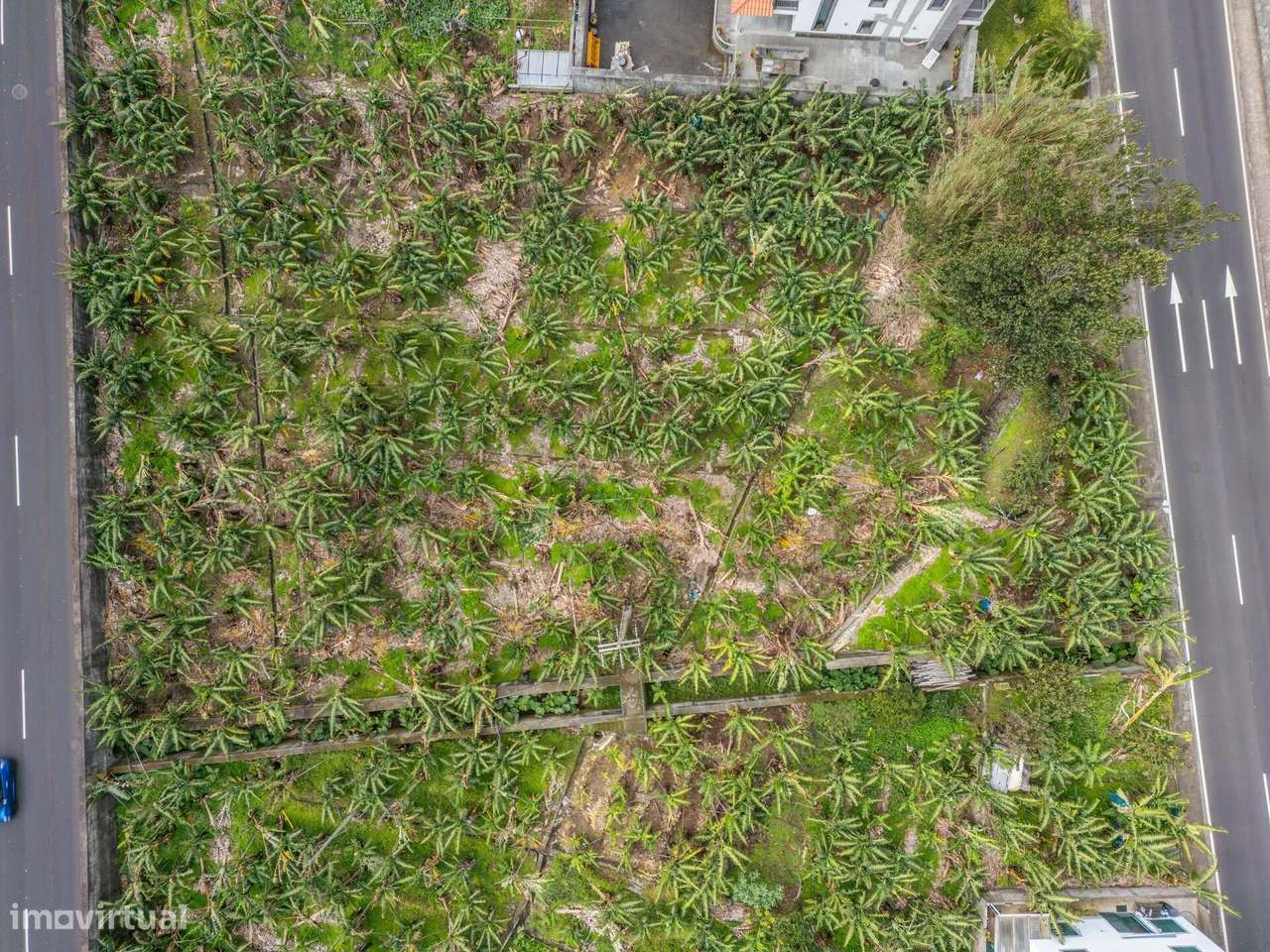 TERRENO RUSTICO - RIBEIRA BRAVA - Grande imagem: 5/18