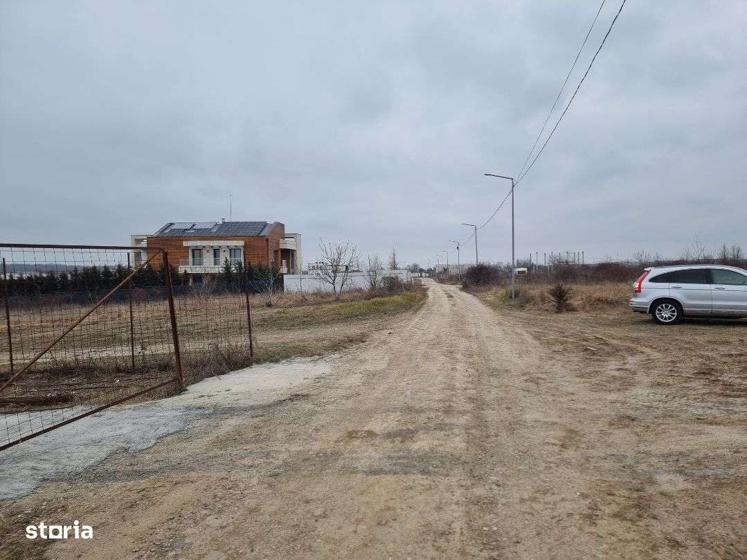 Teren Izvorani iesire Lac | loturi Izvorani | delta Snagov-10
