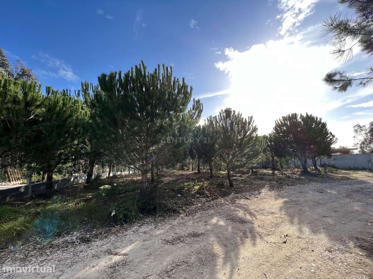 Terreno com Viabilidade de Construção, Monte Real - Grande imagem: 5/21