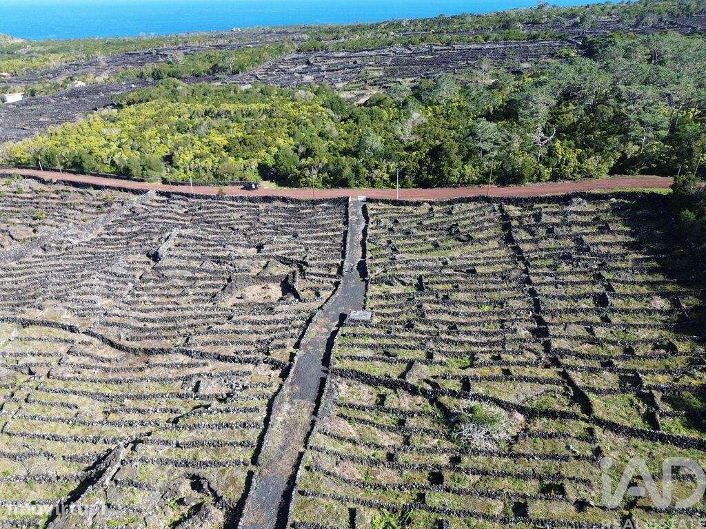 Terreno em Madalena de 20010,00 m2 - Grande imagem: 5/11