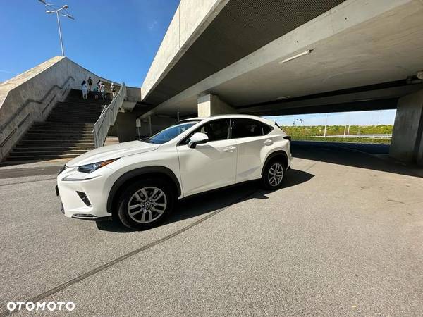 Lexus NX - 6