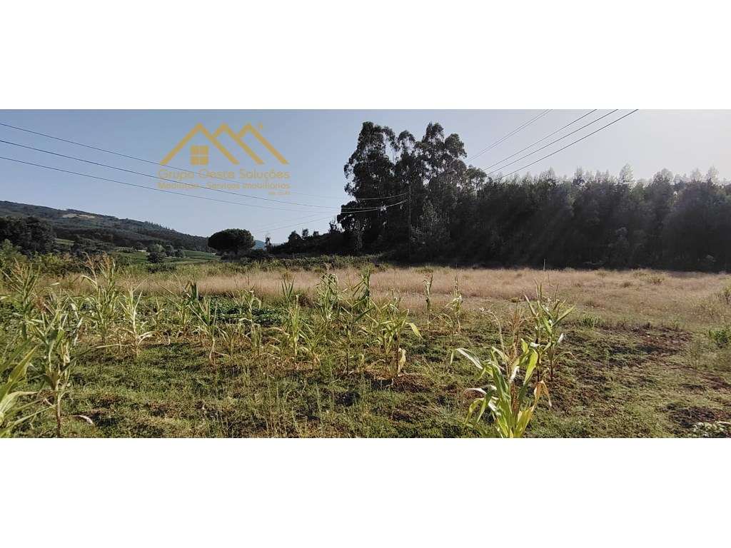 Terreno Rustico, Maxial e Monte Redondo - Grande imagem: 5/13