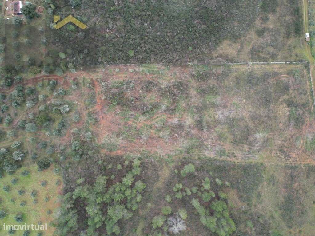 Terreno rústico com 17.160m2 para venda no Freixial do Campo! - Grande imagem: 2/8