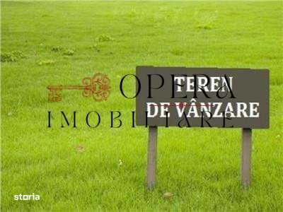 Teren intravilan 6250 m.p., de vanzare, zona Dancu - Imagine principală: 1/1
